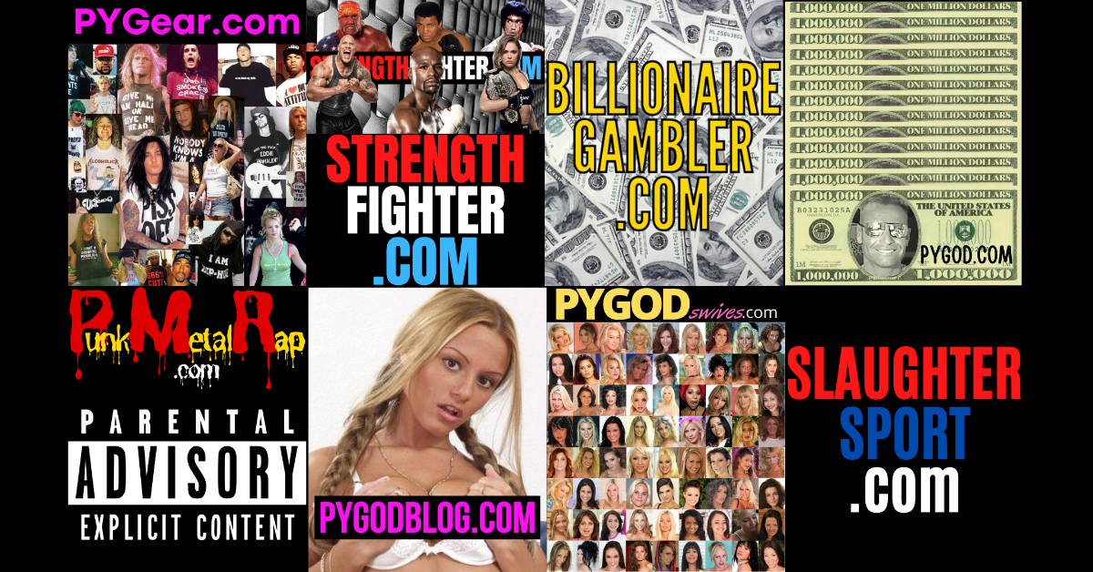 PYGOD Blog Network. 17 Years. 10 Blogs. Network.PYGOD.COM